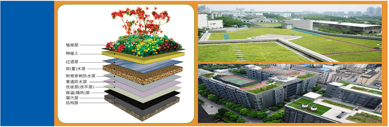 耐根穿刺高分子聚乙烯丙纶防水卷材(图2) 耐根穿刺高分子聚乙烯丙纶防水卷材(图2)